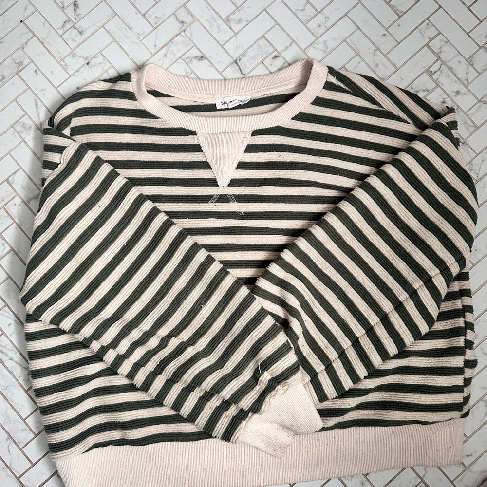 Blu Pepper Green and Cream Striped Top